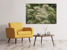 Load image into Gallery viewer, Canvas print Ornamental grass in the wind