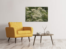 Load image into Gallery viewer, Canvas print Ornamental grass in the wind