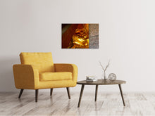 Load image into Gallery viewer, Canvas print Close up Buddha