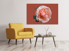 Load image into Gallery viewer, Canvas print Rose in pink XXL 2