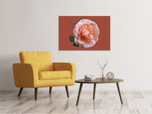 Load image into Gallery viewer, Canvas print Rose in pink XXL 2