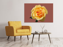 Load image into Gallery viewer, Canvas print Rose in yellow XXL
