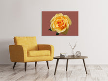 Load image into Gallery viewer, Canvas print Rose in yellow XXL