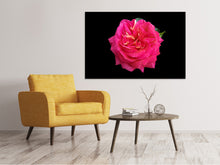 Load image into Gallery viewer, Canvas print Rose in red XXL