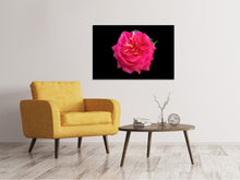 Load image into Gallery viewer, Canvas print Rose in red XXL