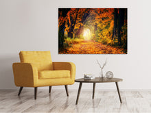 Load image into Gallery viewer, Canvas print Forest walk