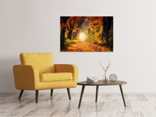 Load image into Gallery viewer, Canvas print Forest walk