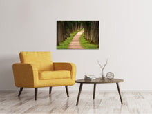Load image into Gallery viewer, Canvas print A path in the forest