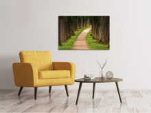 Load image into Gallery viewer, Canvas print A path in the forest