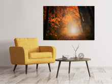Load image into Gallery viewer, Canvas print Autumn light in the forest