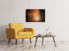 Load image into Gallery viewer, Canvas print Autumn light in the forest