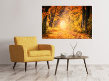 Load image into Gallery viewer, Canvas print Colors magnificent forest
