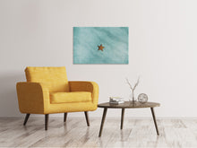 Load image into Gallery viewer, Canvas print The little starfish