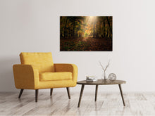 Load image into Gallery viewer, Canvas print The deciduous forest