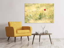 Load image into Gallery viewer, Canvas print A poppy
