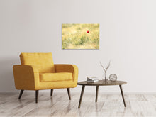 Load image into Gallery viewer, Canvas print A poppy