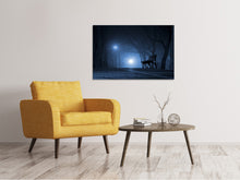 Load image into Gallery viewer, Canvas print At night in the park