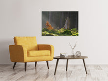 Load image into Gallery viewer, Canvas print The magic in the forest