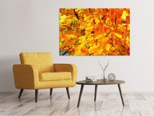 Load image into Gallery viewer, Canvas print Autumn leaves