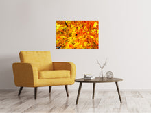 Load image into Gallery viewer, Canvas print Autumn leaves