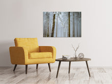 Load image into Gallery viewer, Canvas print Forest in winter
