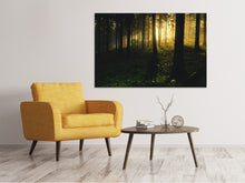Load image into Gallery viewer, Canvas print Sunset in the forest