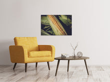 Load image into Gallery viewer, Canvas print Fresh sweetcorn