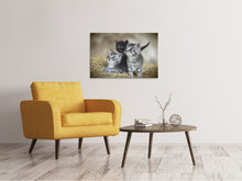 Load image into Gallery viewer, Canvas print Kitten trio