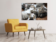 Load image into Gallery viewer, Canvas print Many kittens