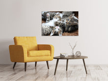 Load image into Gallery viewer, Canvas print Many kittens