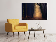 Load image into Gallery viewer, Canvas print Evening mood in the forest