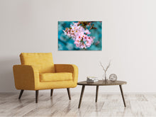 Load image into Gallery viewer, Canvas print Close up flower