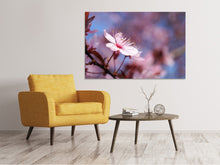 Load image into Gallery viewer, Canvas print Close up cherry blossom