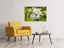 Load image into Gallery viewer, Canvas print White flowers in XL