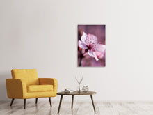 Load image into Gallery viewer, Canvas print Adorable cherry blossom