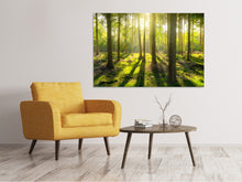 Load image into Gallery viewer, Canvas print In the middle of the woods
