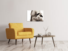 Load image into Gallery viewer, Canvas print Come over....