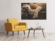 Load image into Gallery viewer, Canvas print Sleeping cat
