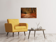 Load image into Gallery viewer, Canvas print Nature in autumn