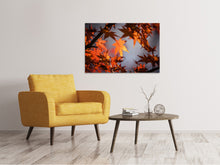 Load image into Gallery viewer, Canvas print Maple leaves in autumn