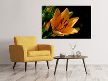 Load image into Gallery viewer, Canvas print Close up lily in orange