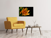 Load image into Gallery viewer, Canvas print Close up lily in orange