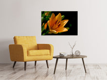 Load image into Gallery viewer, Canvas print Close up lily in orange