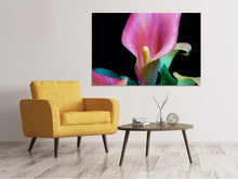 Load image into Gallery viewer, Canvas print Zantedeschien