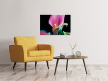 Load image into Gallery viewer, Canvas print Zantedeschien