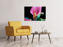 Load image into Gallery viewer, Canvas print Zantedeschien