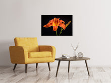 Load image into Gallery viewer, Canvas print A lily flower in orange