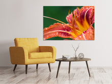 Load image into Gallery viewer, Canvas print XXL lily in orange