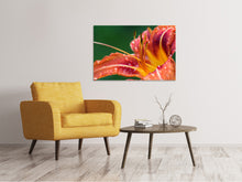 Load image into Gallery viewer, Canvas print XXL lily in orange