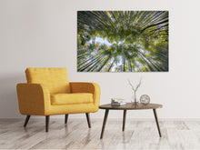 Load image into Gallery viewer, Canvas print Many treetops